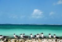 Imagen de Los Roques